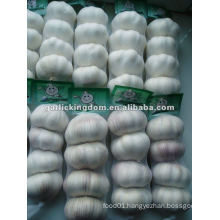 Sell offer for Fresh Garlic from China